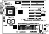 DIAMOND FLOWER, INC. &nbsp; 586ITBD (REV. AD+)