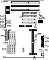 DIAMOND FLOWER, INC. &nbsp; P2XBL (REV. B+)