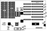 EVEREX SYSTEMS, INC. &nbsp; STEP 286